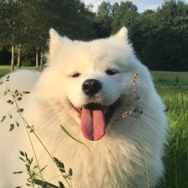FuRyy23 avatar