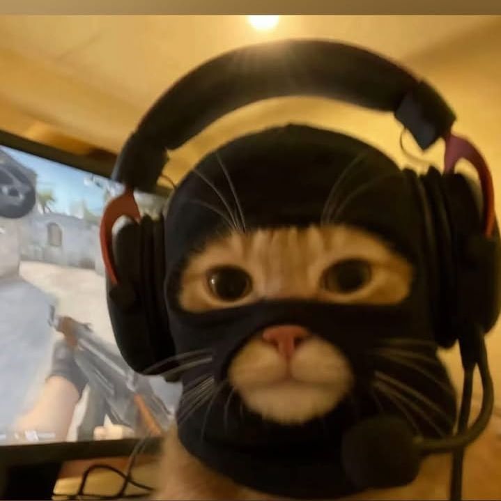 0ziiii