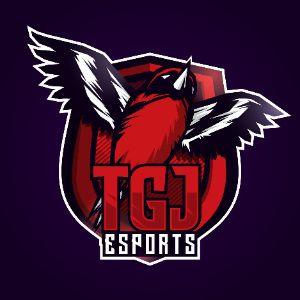 TGJ ESPORTS