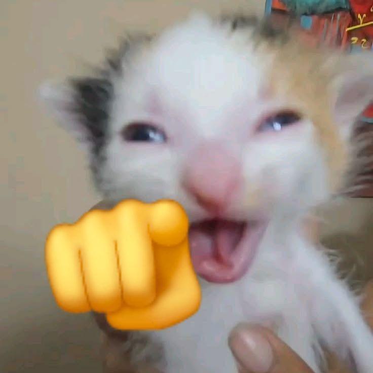 kvikzZzi avatar