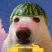 skjskj avatar