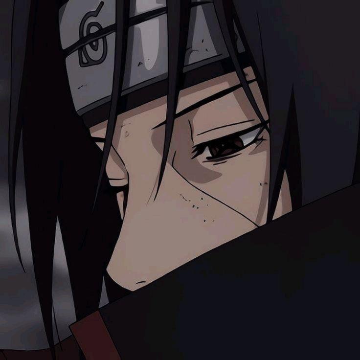 Wiz1k- avatar