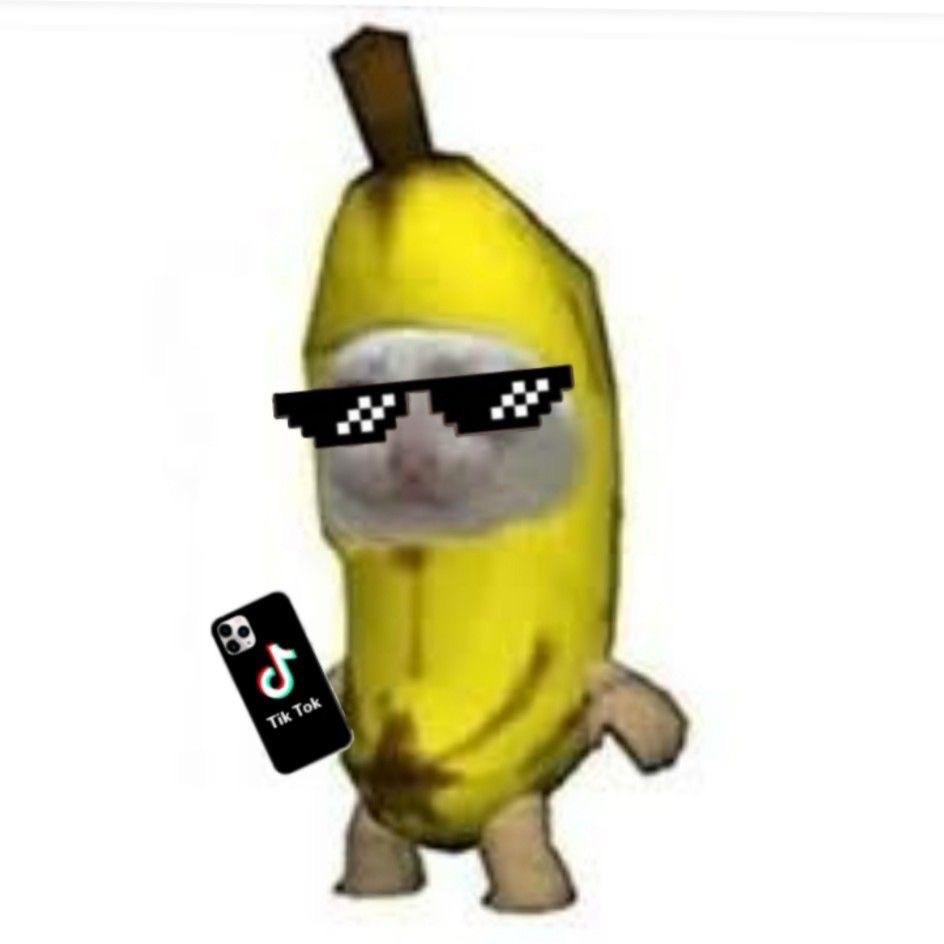 SekSik02 avatar