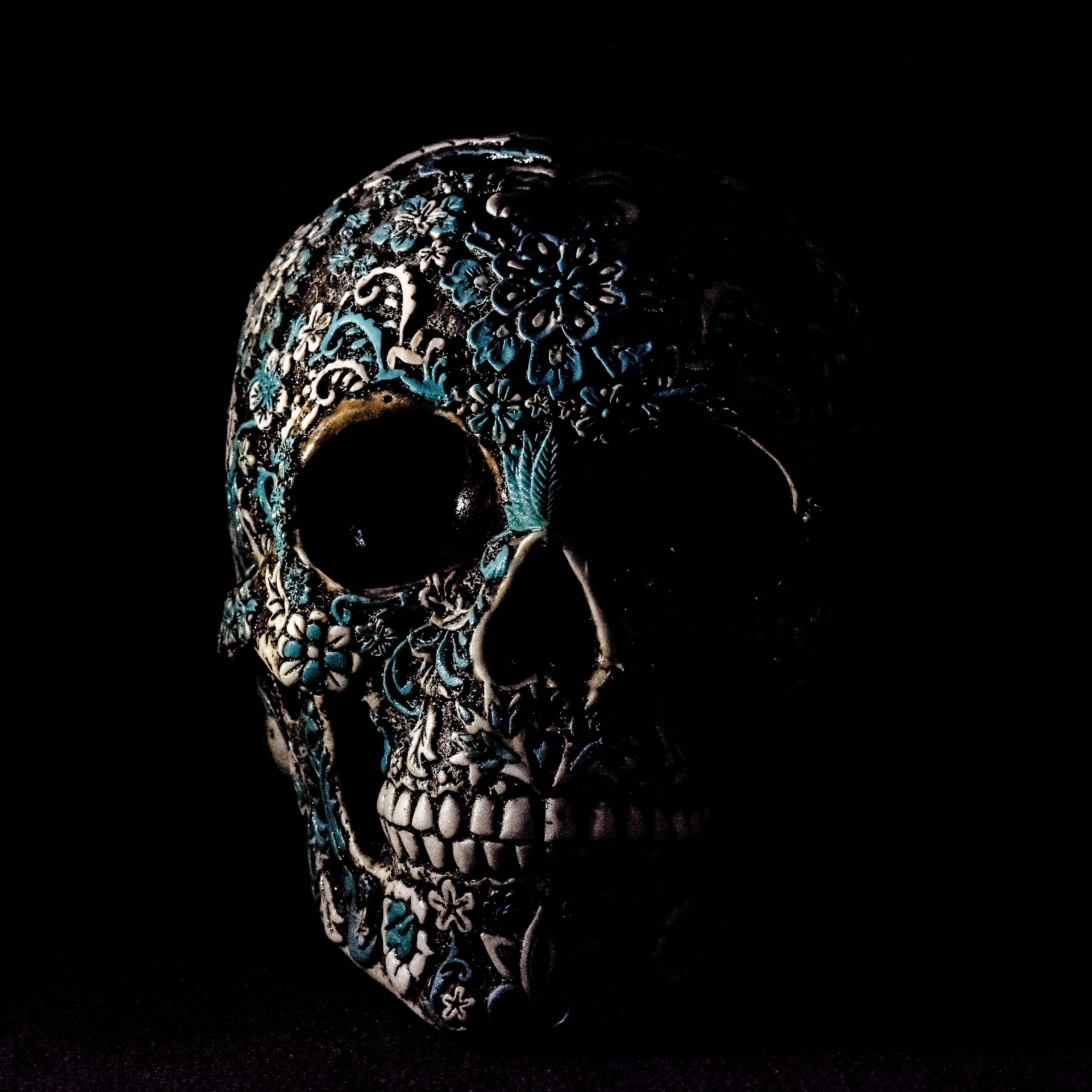 Skull37_ avatar