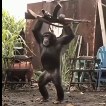 RunninMonkeY