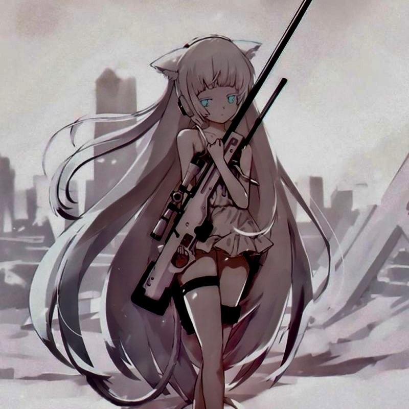 _z4k1 avatar