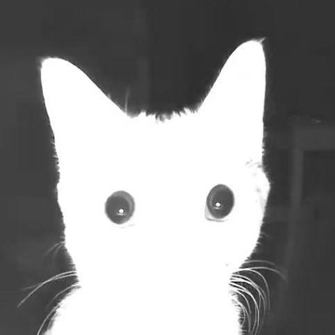 pompka64 avatar
