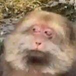 RangoBTW avatar