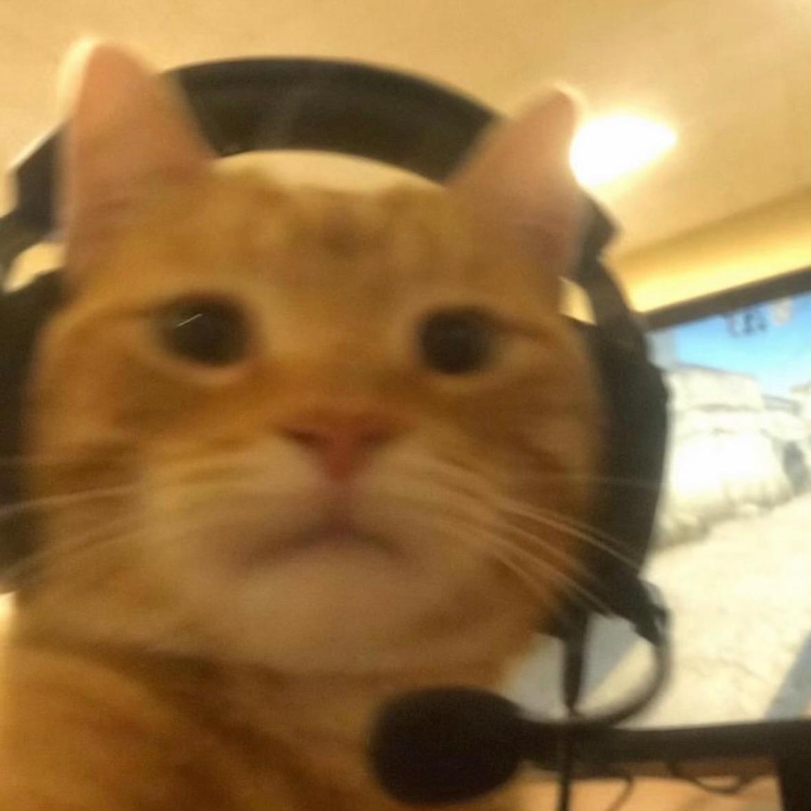 mus1ko avatar