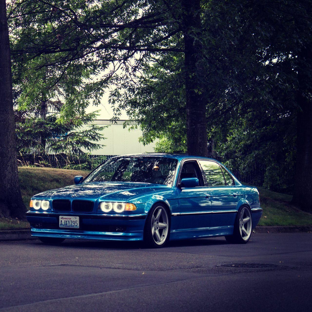 Bakus_332