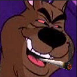 SuperDoob avatar