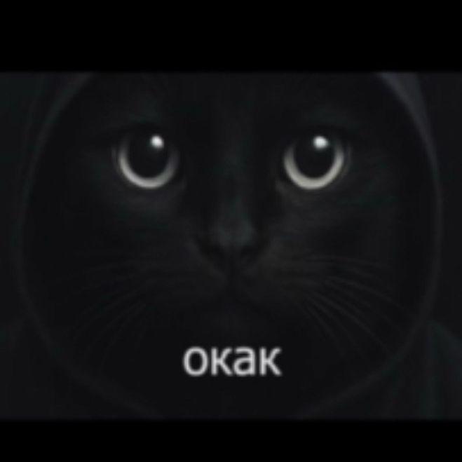 ___garik___ avatar
