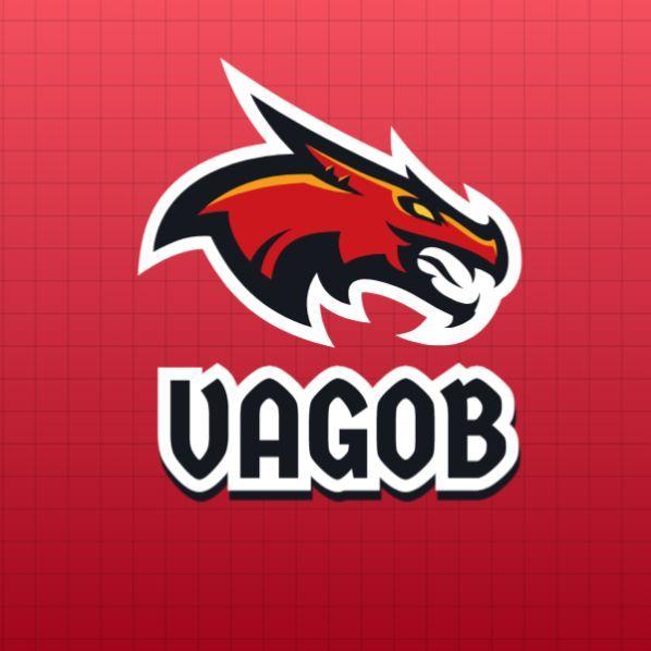 VAGOB_10