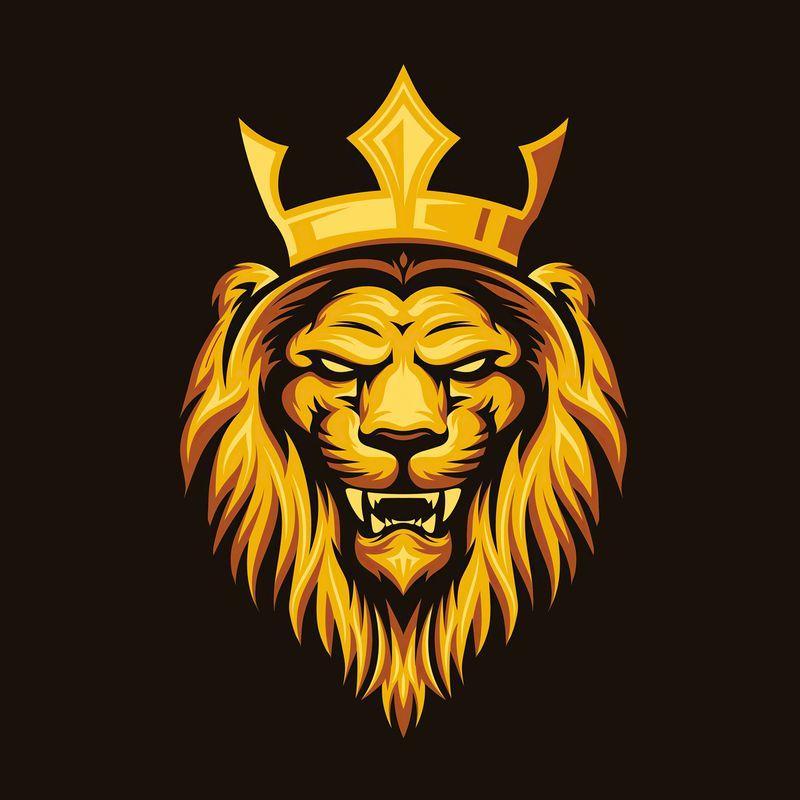 Lion93CZ avatar