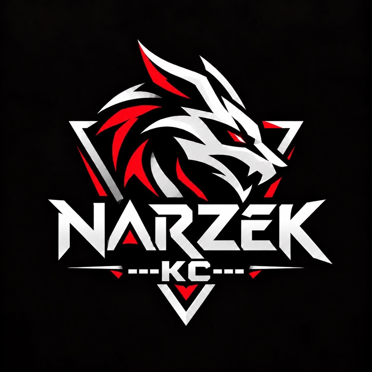 ---KC--- FACEIT avatar