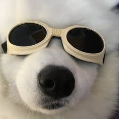 wantarajen FACEIT avatar