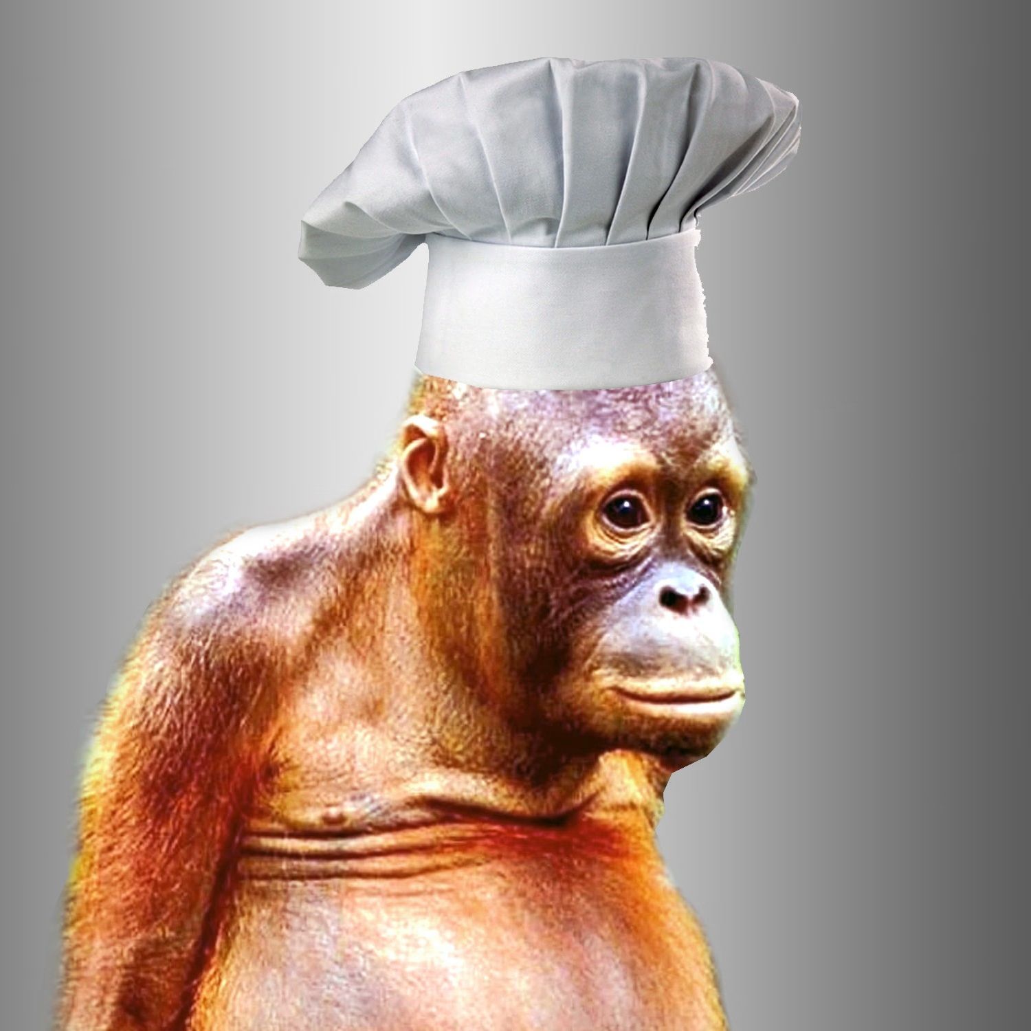 CHEF-GEORGE