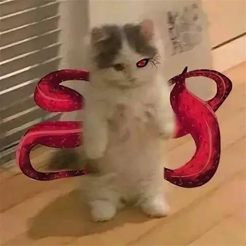 malalock avatar