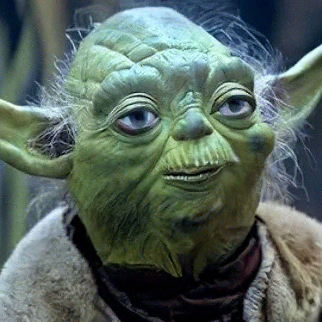 Perdjun avatar