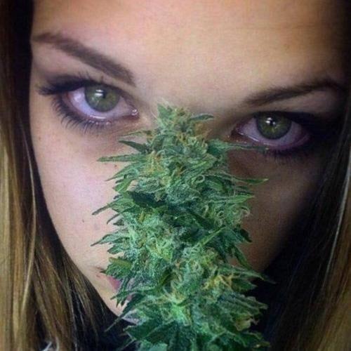 utqns avatar