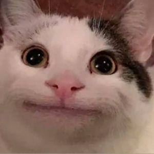 Nomik avatar