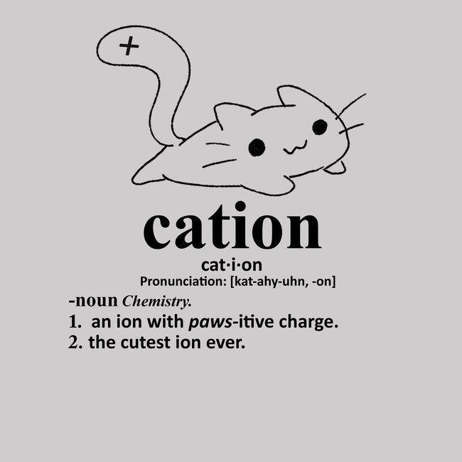 Cat-Ion avatar