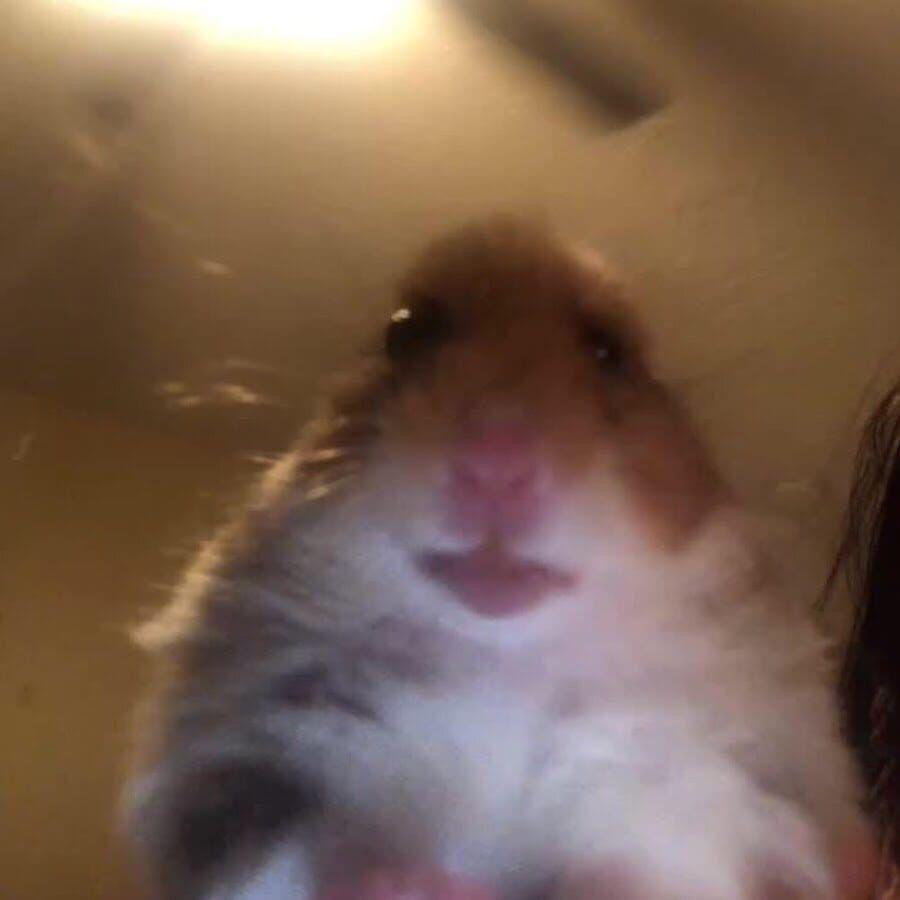 pesatdva