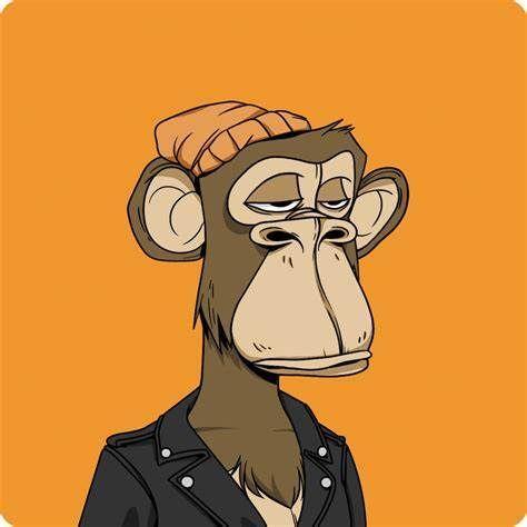 Meteorhehe avatar