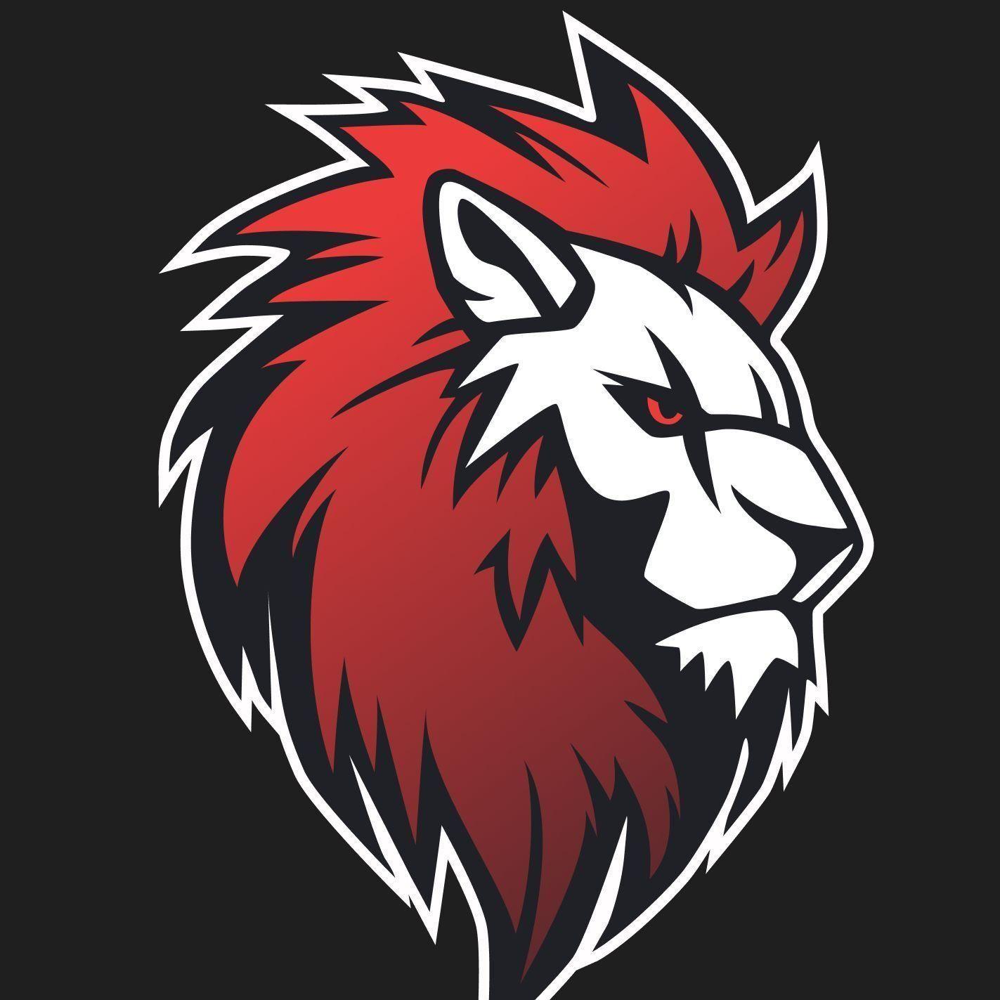 Leo Team