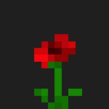 Mkrandrs avatar