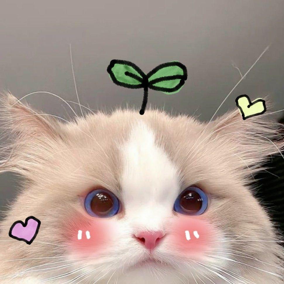 noooobin avatar