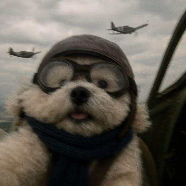 tenzzzzzzzz_ avatar