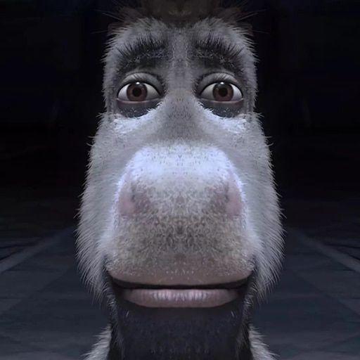 ch4padas avatar