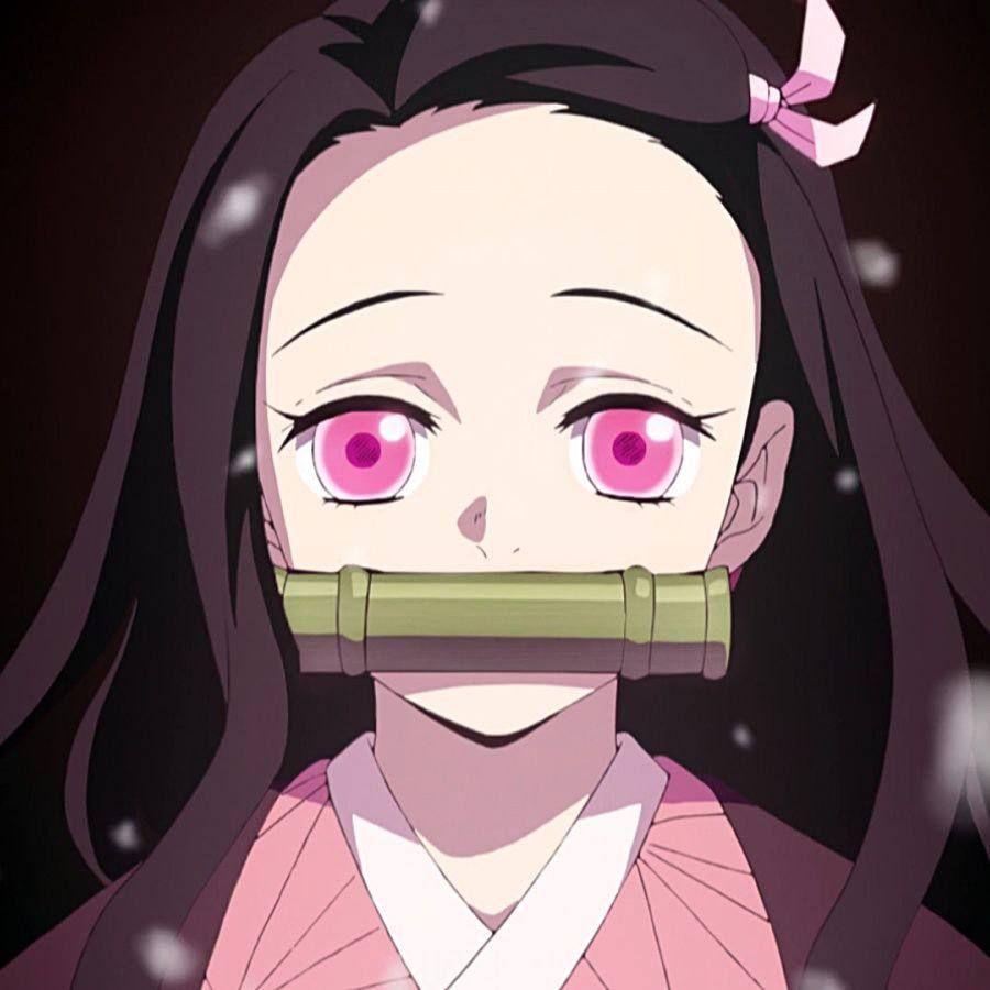 bl00dy666 avatar