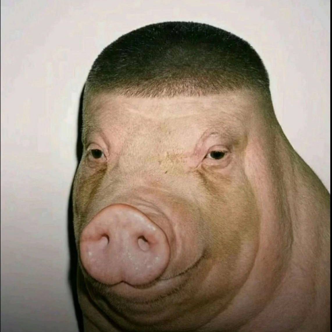 mr_bubblegum
