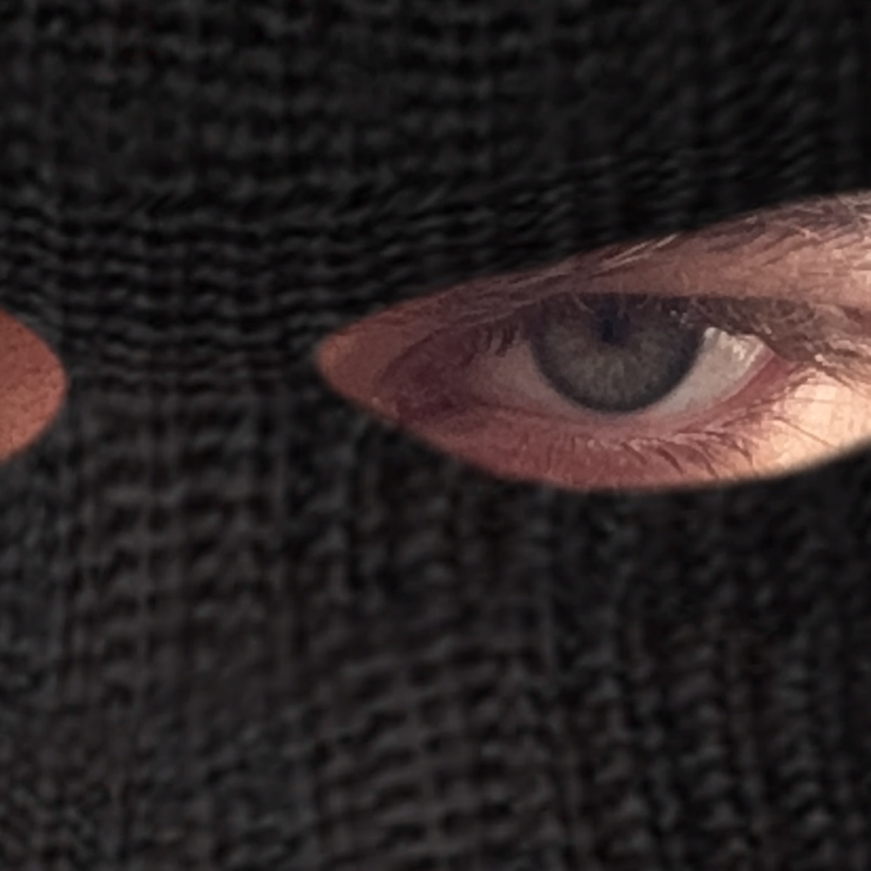 team_msa666