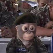 byorkuN avatar