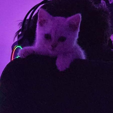3zWIN avatar