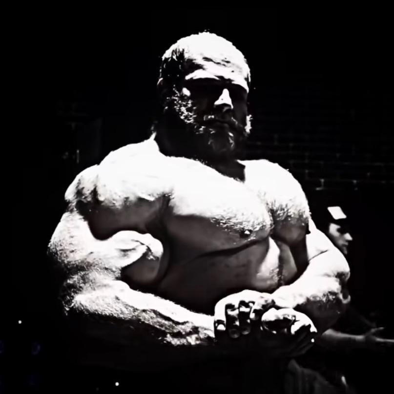 gribaster135 avatar