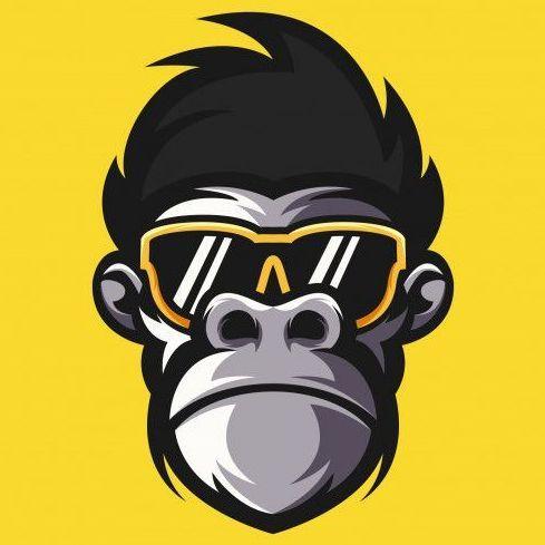 1Gixeed avatar
