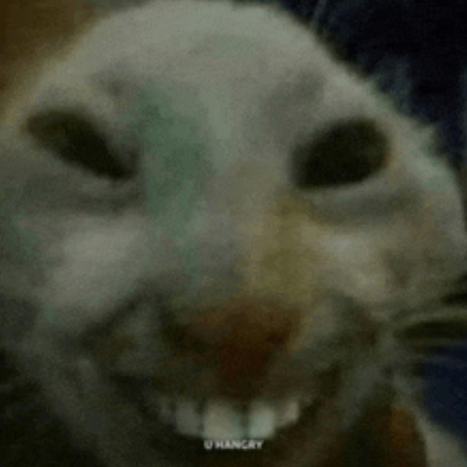 JaySane avatar