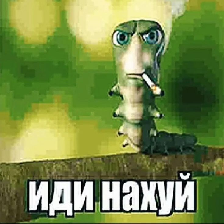 getr1kz-