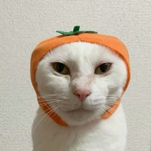 VTRoll