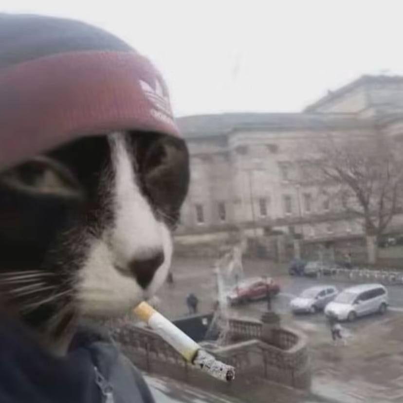 klrrrrrrr avatar