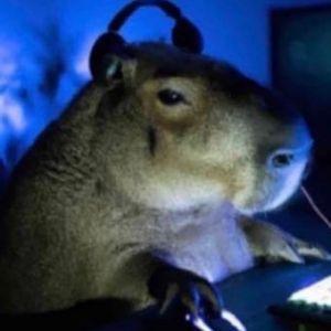 eGGash avatar