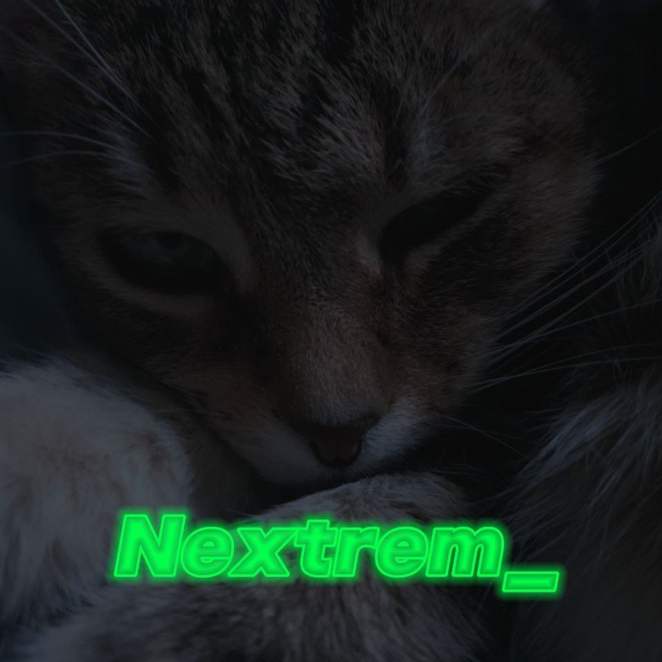 Nextrem_ FACEIT avatar