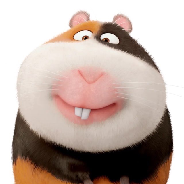 TEPMNHATOP13