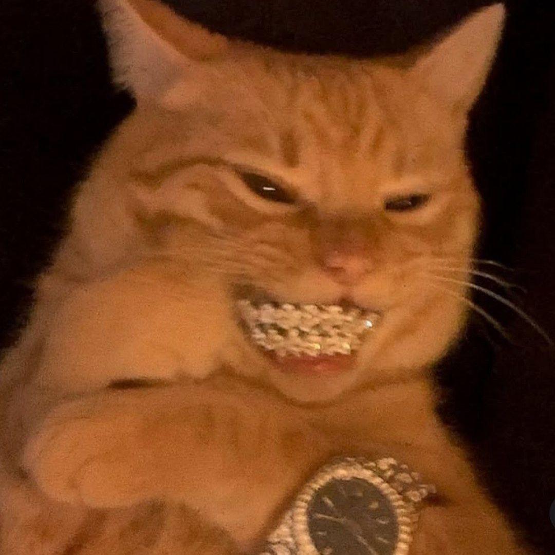 BOONQUE avatar