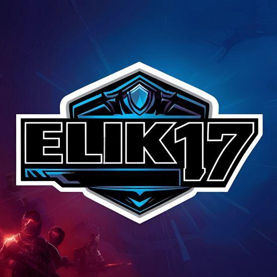 elik17 avatar