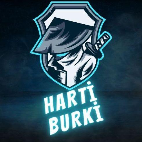 burak714271 avatar